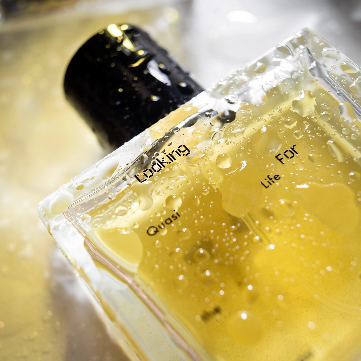 Close-up of Looking for Each Other – Quasi Life in the Quasi World perfume bottle covered in glistening water droplets; angled shot highlighting minimalist type on glass and golden botanical liquid inside.